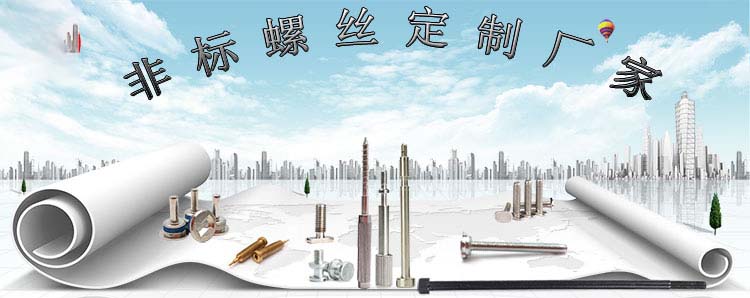 不锈钢特殊螺丝